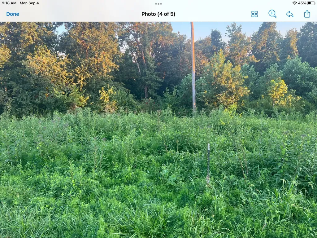 9999 Highway 2004 Mckee KY 40447