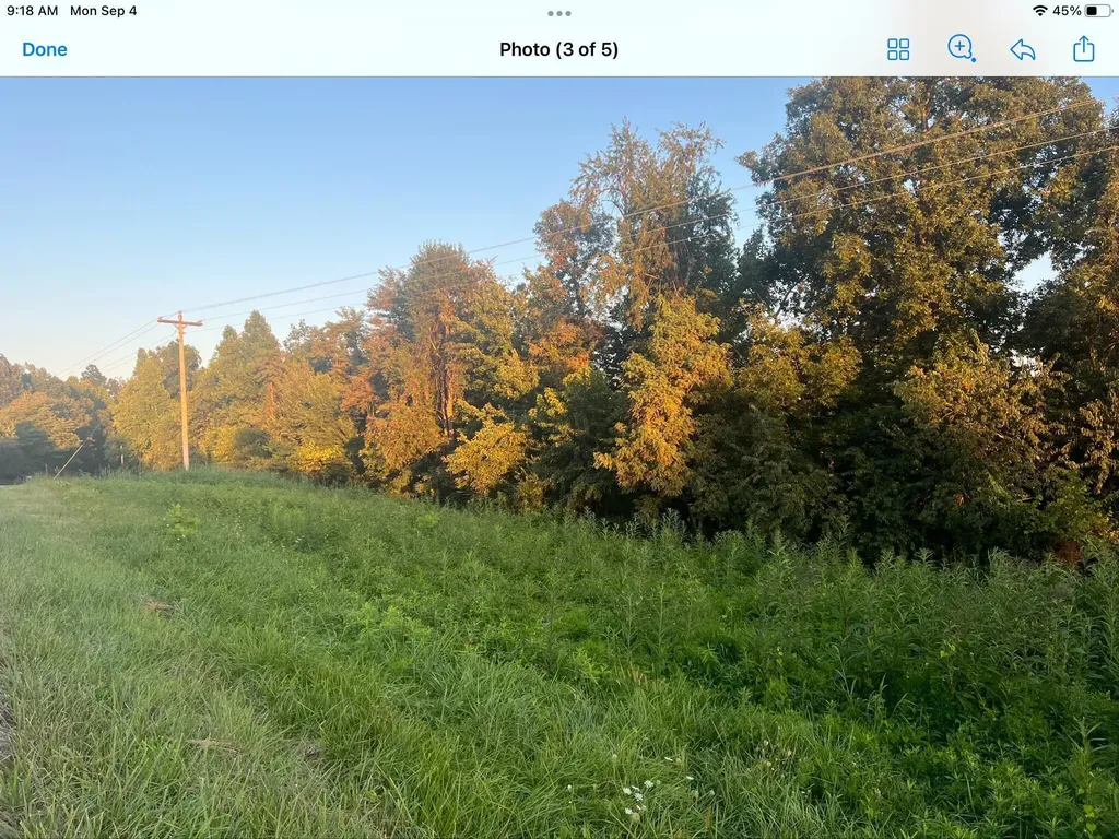 9999 Highway 2004 Mckee KY 40447