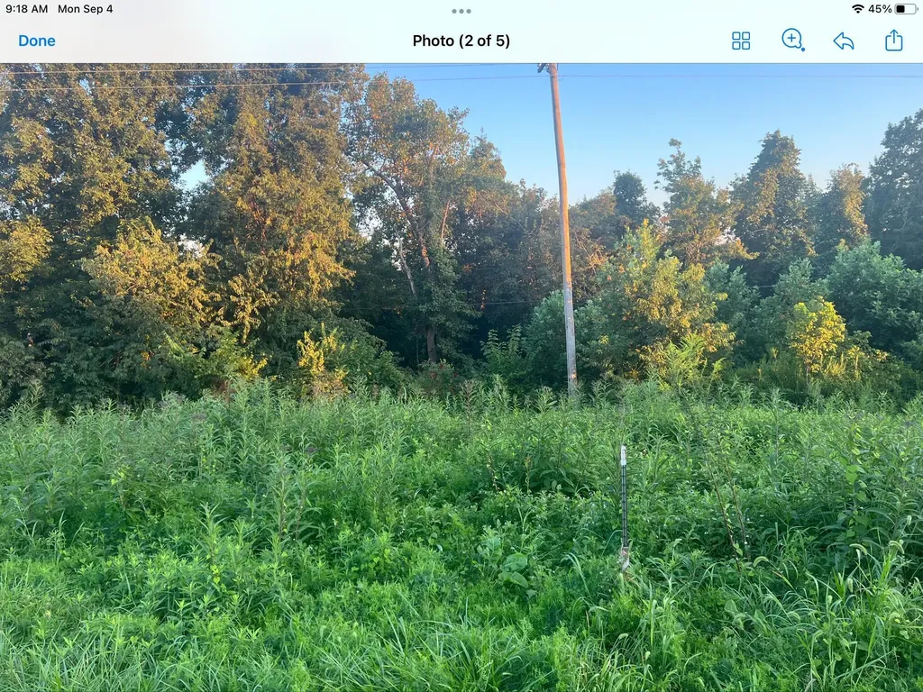 9999 Highway 2004 Mckee KY 40447