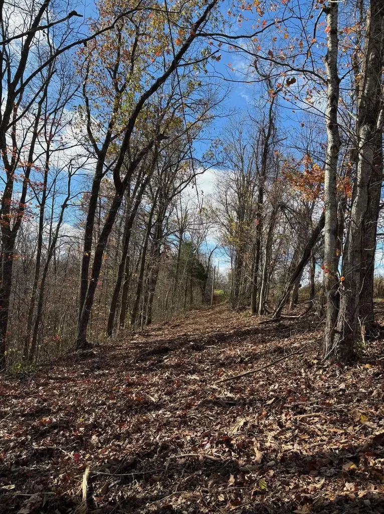 9999 Highway 2004 Mckee KY 40447