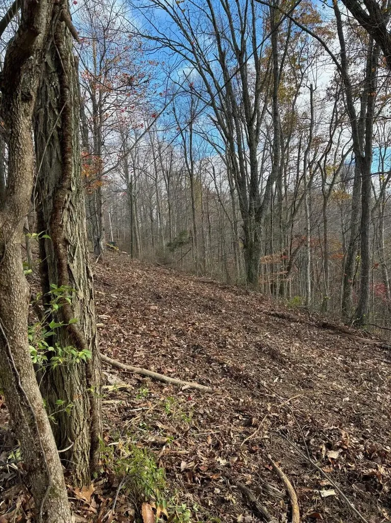 9999 Highway 2004 Mckee KY 40447