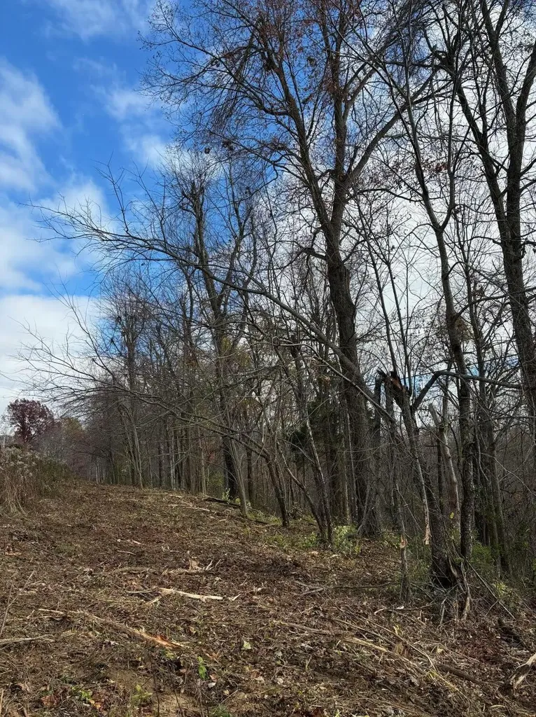 9999 Highway 2004 Mckee KY 40447