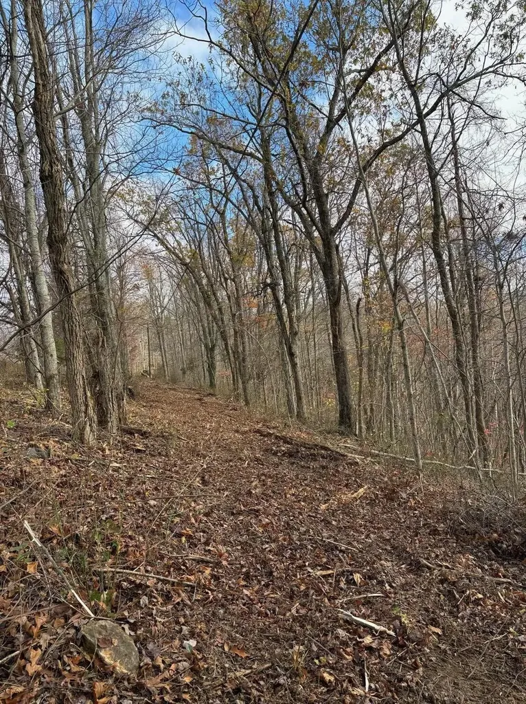 9999 Highway 2004 Mckee KY 40447