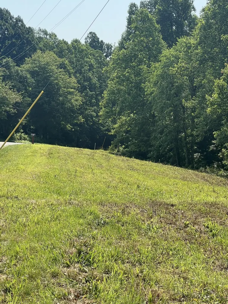 9999 Highway 2004 Mckee KY 40447