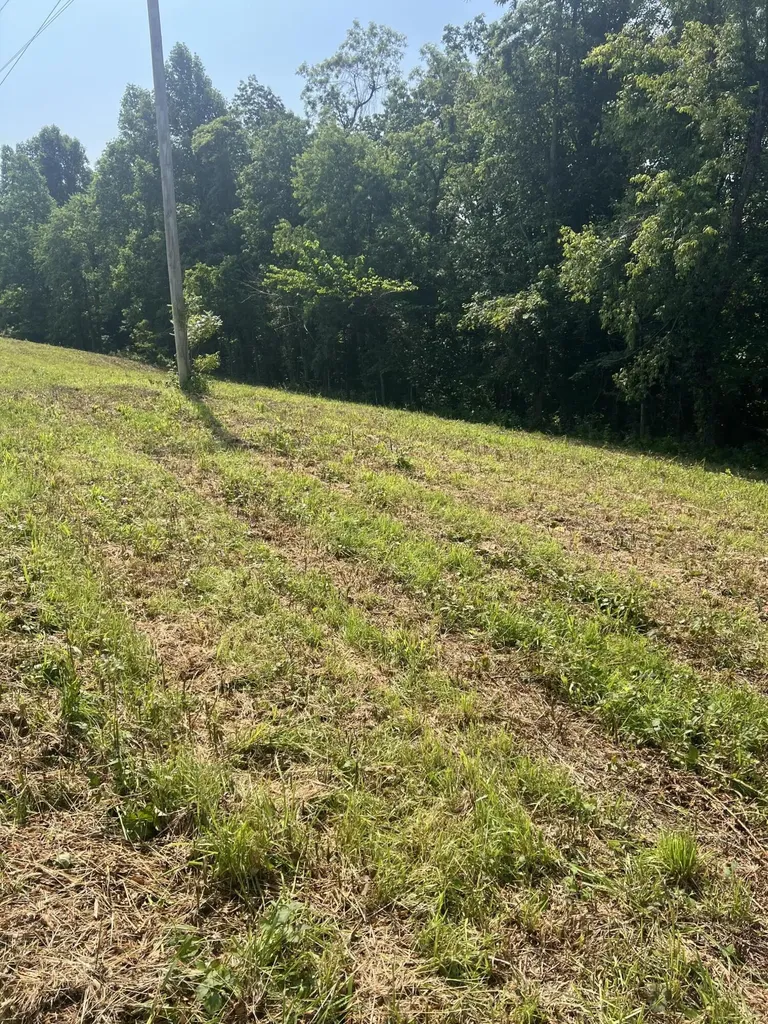 9999 Highway 2004 Mckee KY 40447