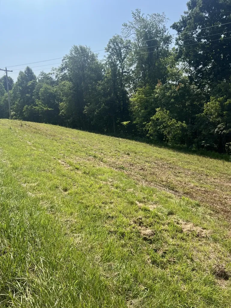 9999 Highway 2004 Mckee KY 40447