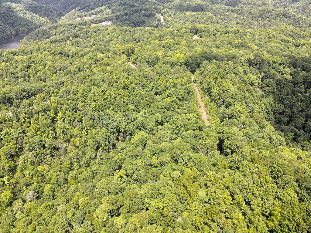 132 Sandstone Point Trail Monticello KY 42633