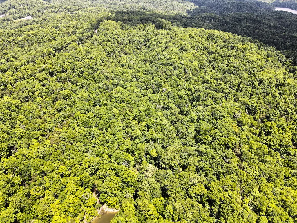 132 Sandstone Point Trail Monticello KY 42633