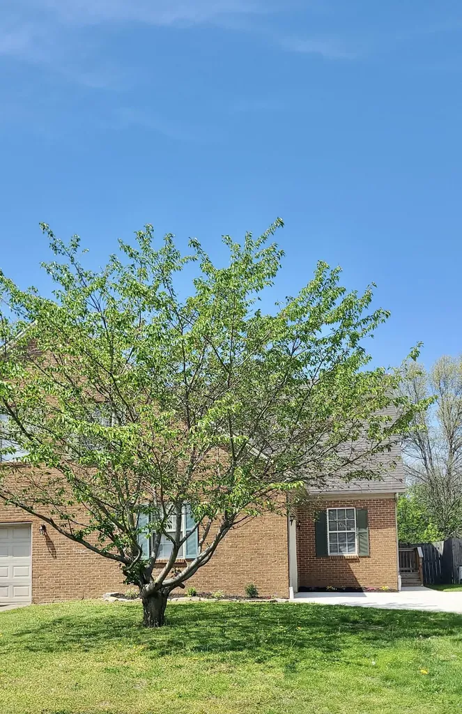 220 Tanbark Drive Georgetown KY 40324
