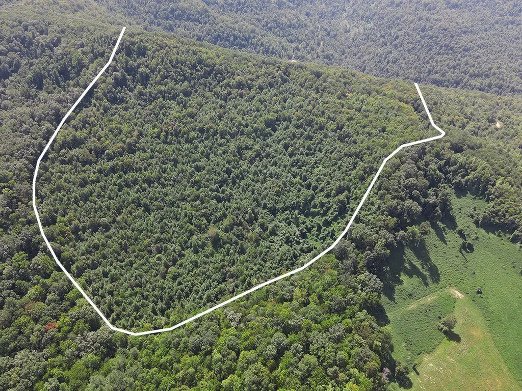0 Corder Flat Road Strunk KY 42649