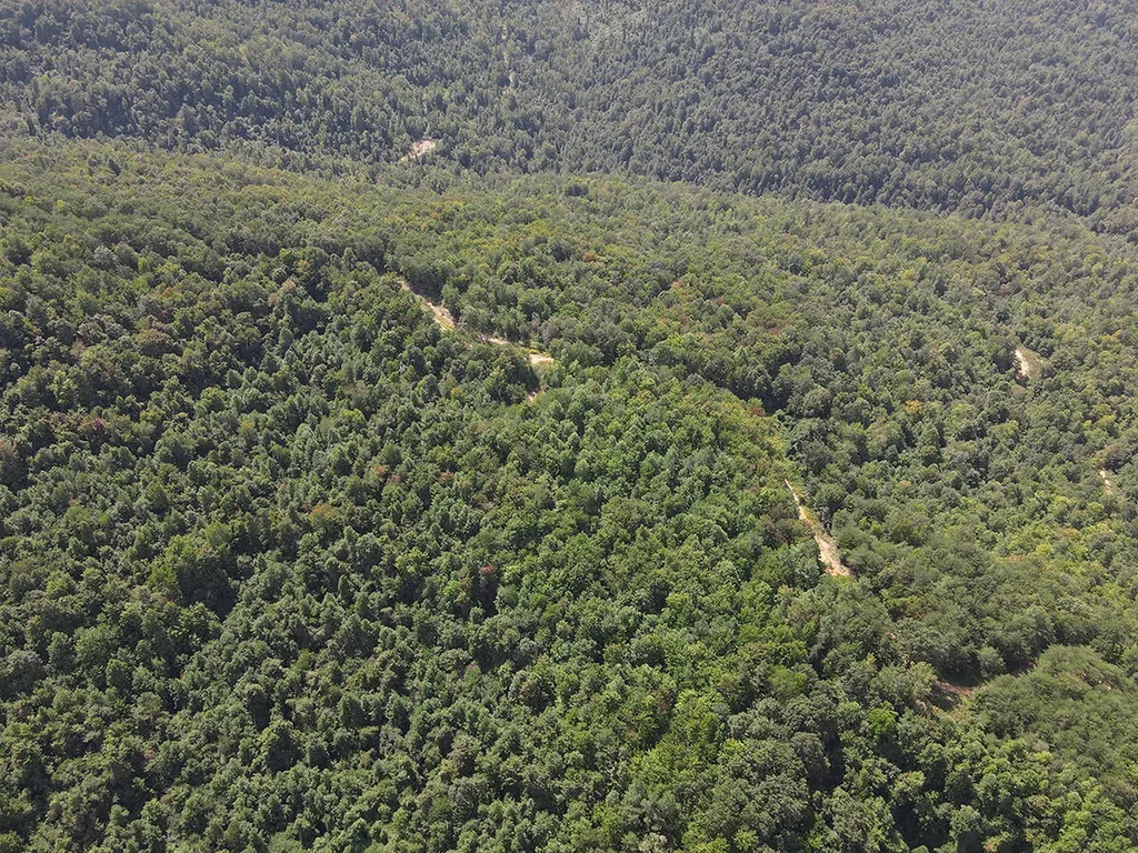 0 Corder Flat Road Strunk KY 42649