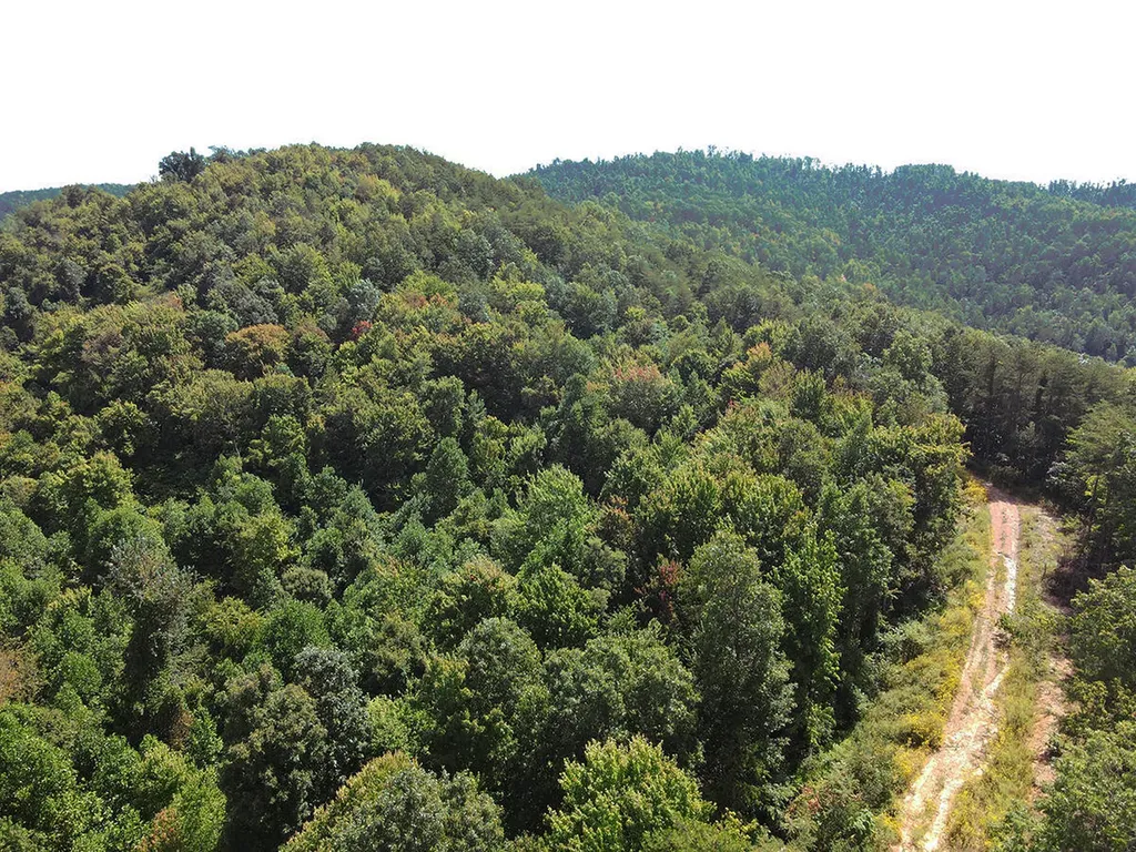 0 Corder Flat Road Strunk KY 42649