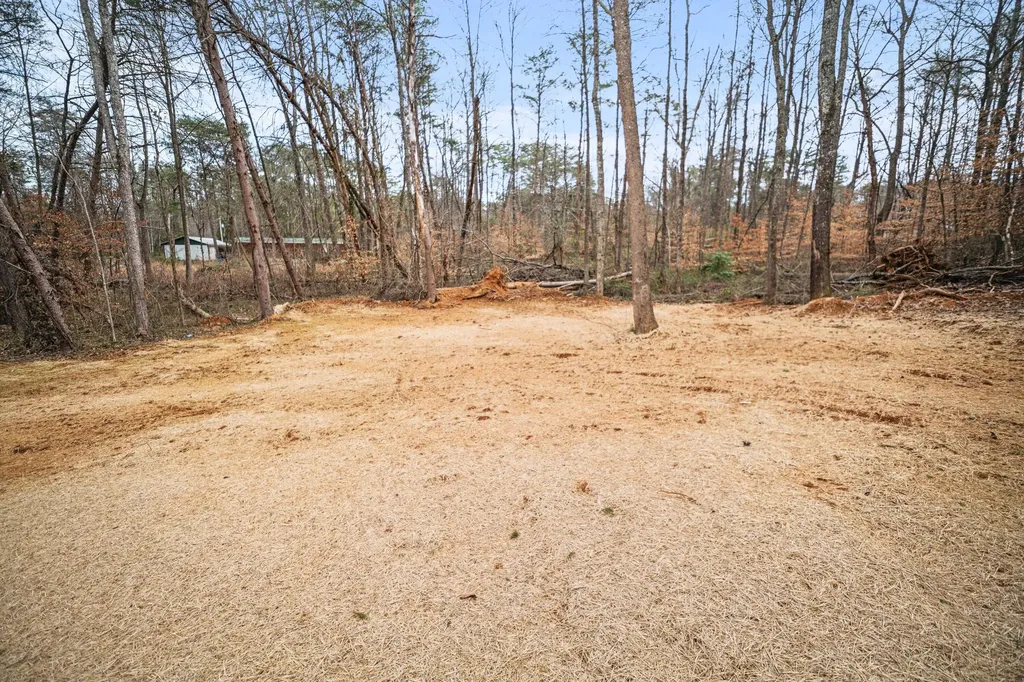 221 Pine Tree Circle Drive Nancy KY 42544