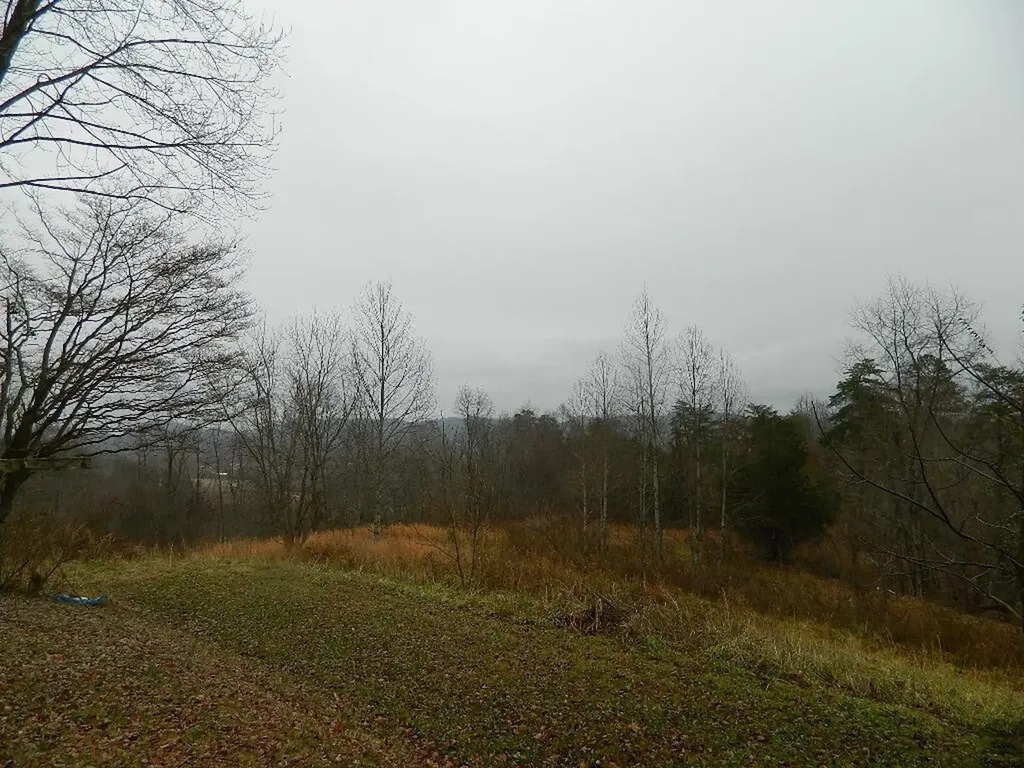 150 Brown Ridge Road Irvine KY 40336