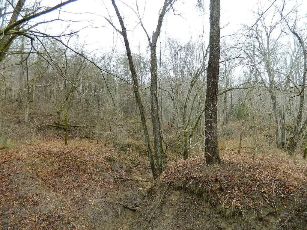 150 Brown Ridge Road Irvine KY 40336