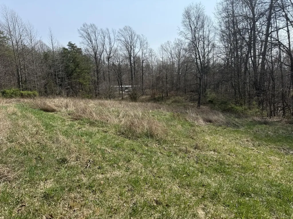 311 Willow Oak Nancy KY 42544