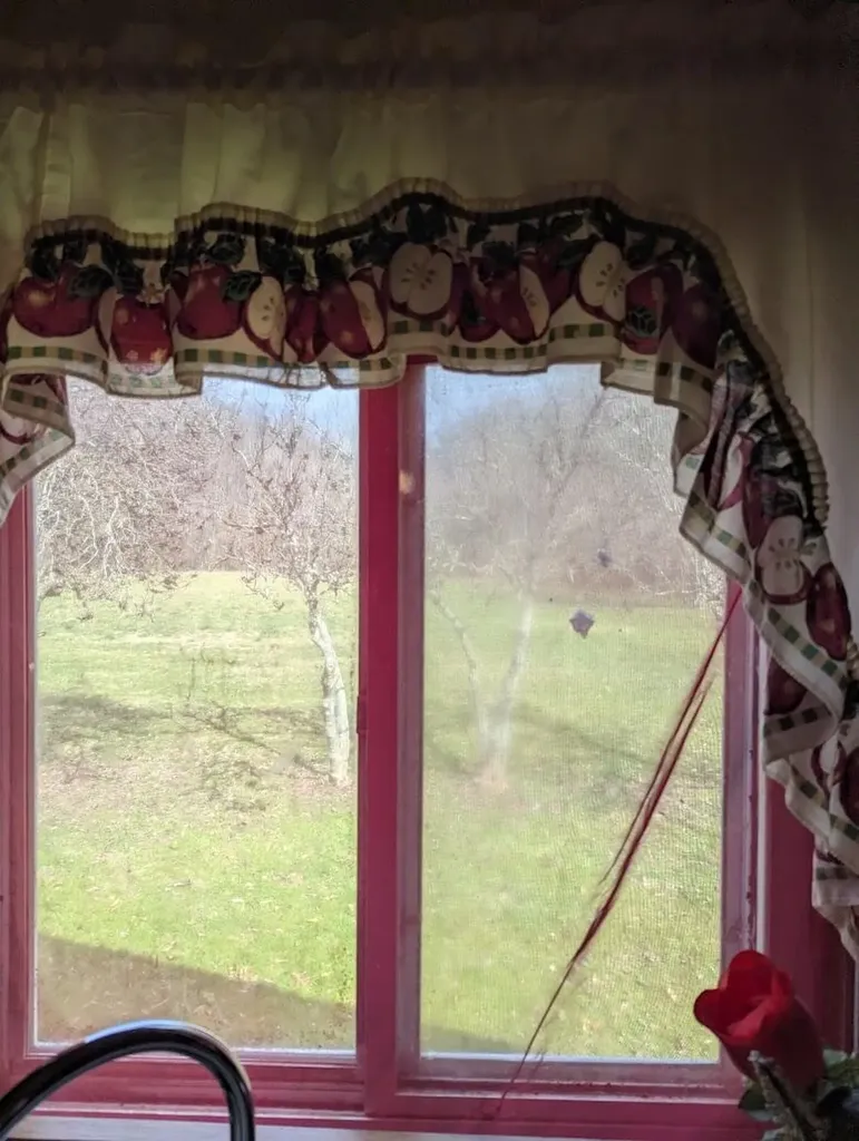 456 Arnetts Fork Road Big Creek KY 40914