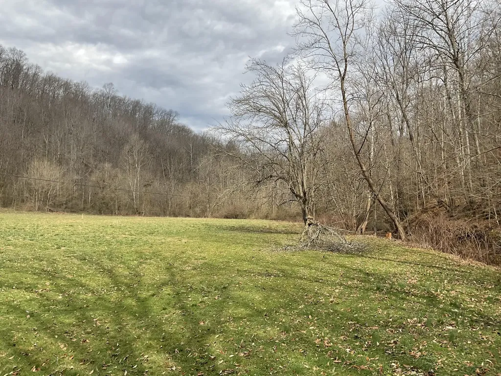 456 Arnetts Fork Road Big Creek KY 40914