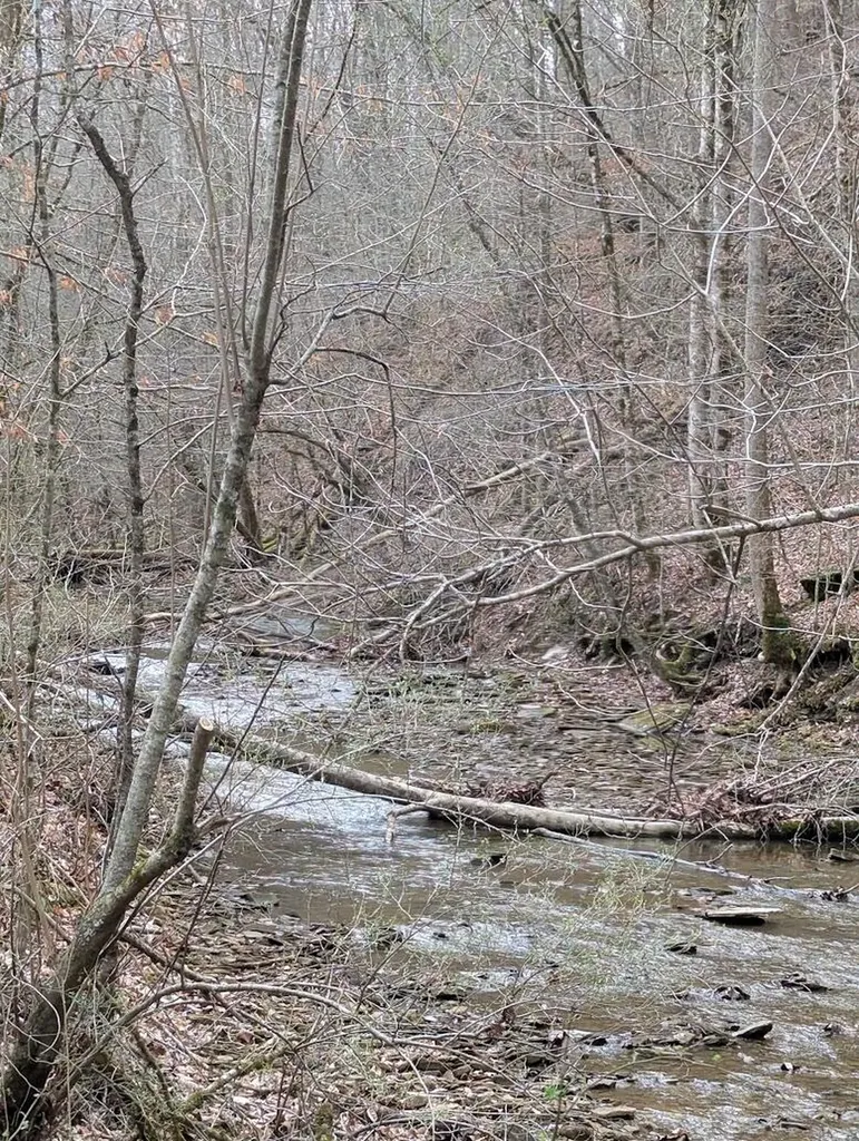 456 Arnetts Fork Road Big Creek KY 40914
