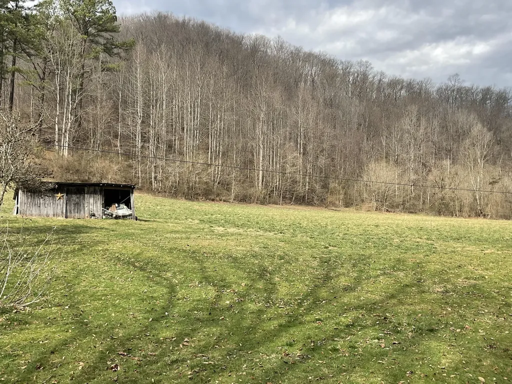 456 Arnetts Fork Road Big Creek KY 40914