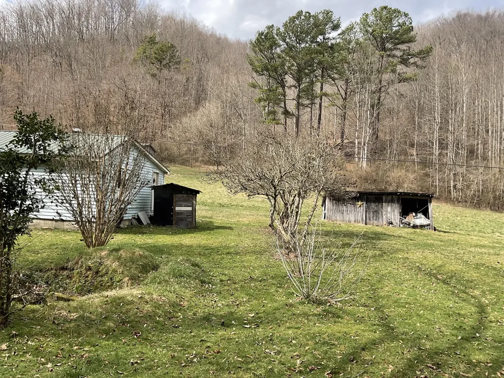 456 Arnetts Fork Road Big Creek KY 40914