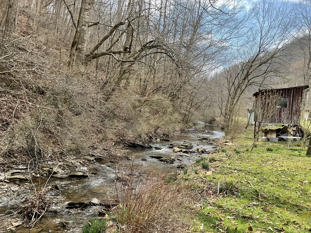 456 Arnetts Fork Road Big Creek KY 40914
