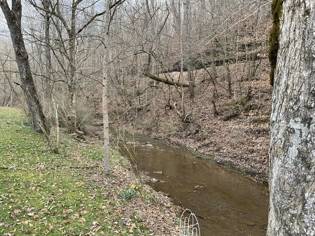 456 Arnetts Fork Road Big Creek KY 40914