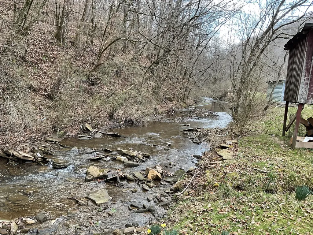 456 Arnetts Fork Road Big Creek KY 40914
