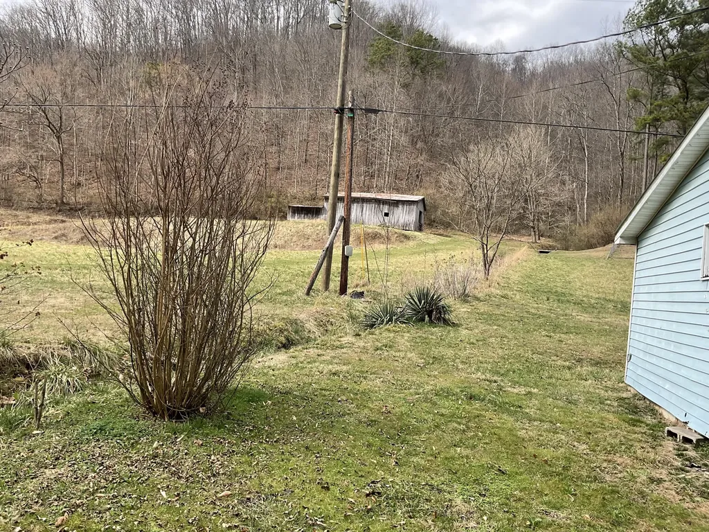 456 Arnetts Fork Road Big Creek KY 40914