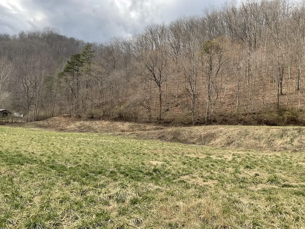 456 Arnetts Fork Road Big Creek KY 40914