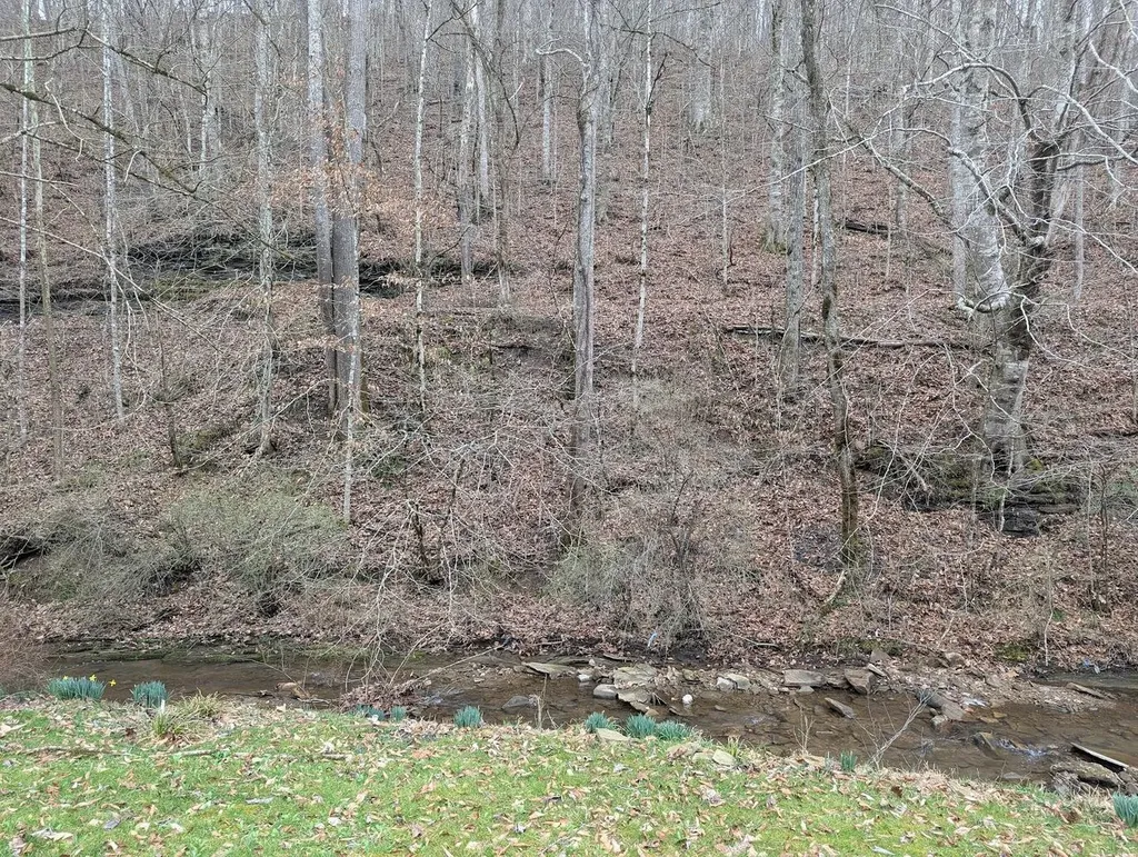 456 Arnetts Fork Road Big Creek KY 40914