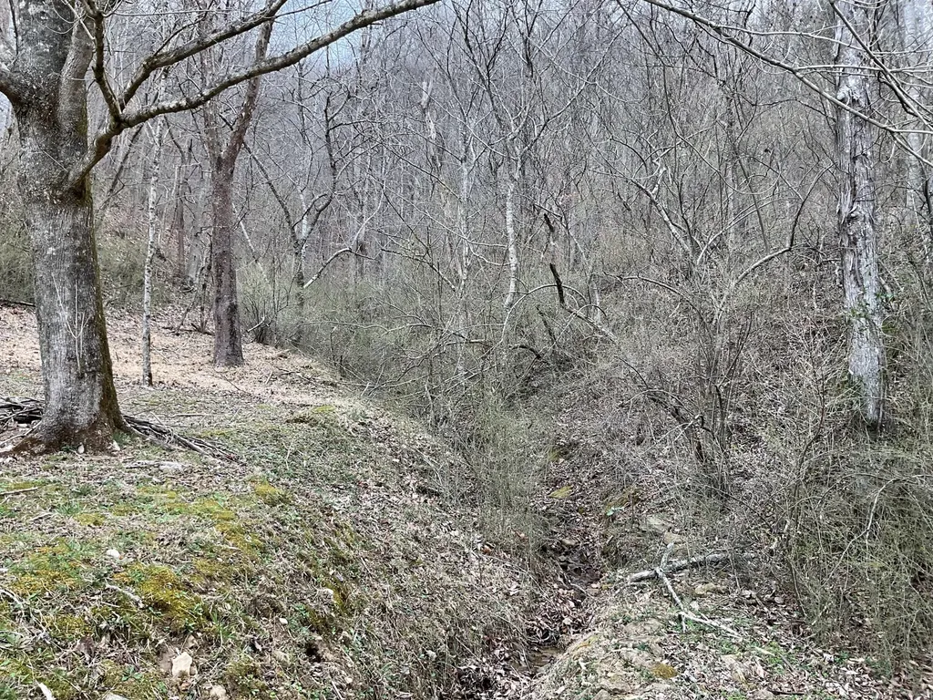 456 Arnetts Fork Road Big Creek KY 40914
