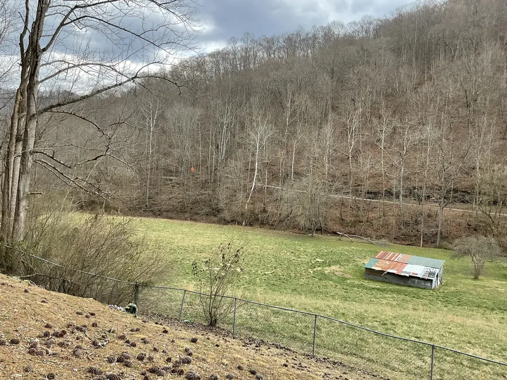 456 Arnetts Fork Road Big Creek KY 40914