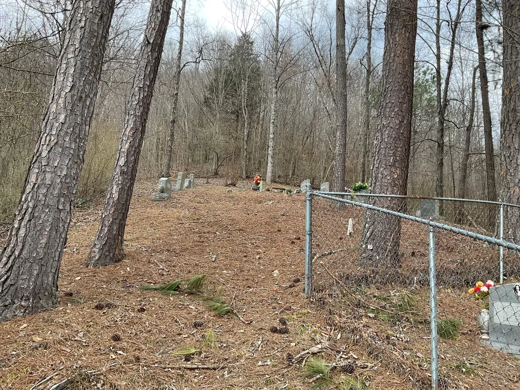456 Arnetts Fork Road Big Creek KY 40914