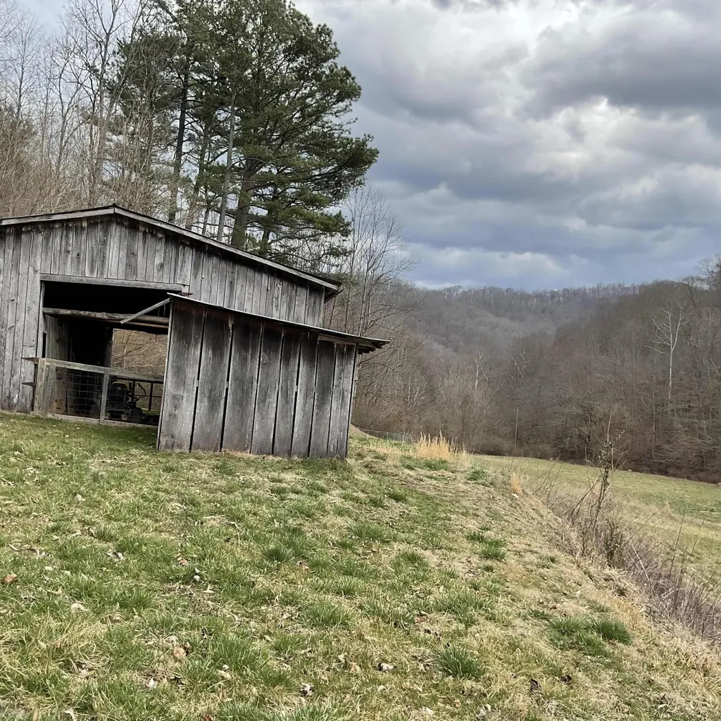 456 Arnetts Fork Road Big Creek KY 40914