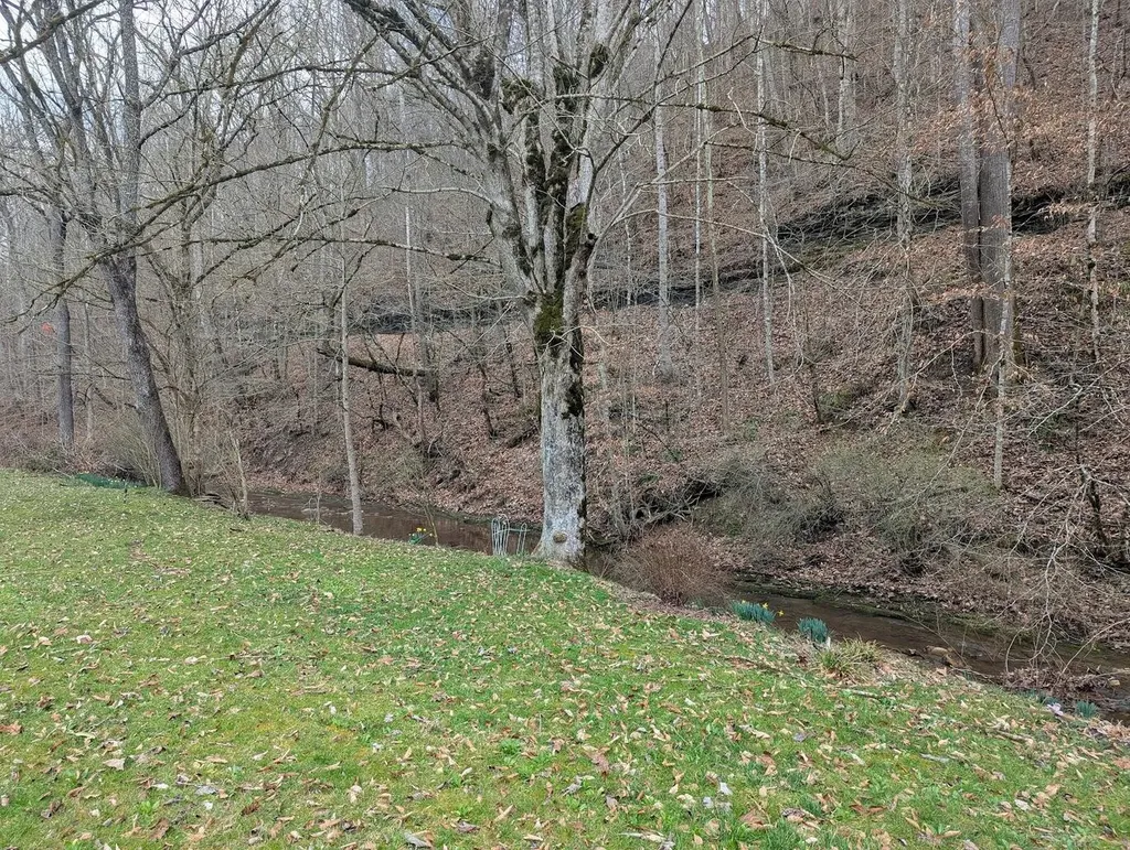 456 Arnetts Fork Road Big Creek KY 40914