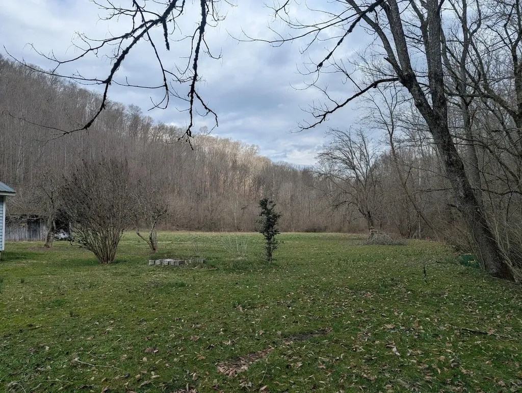 456 Arnetts Fork Road Big Creek KY 40914