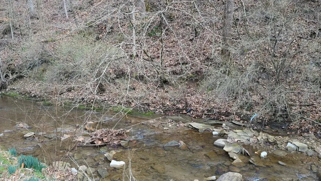 456 Arnetts Fork Road Big Creek KY 40914
