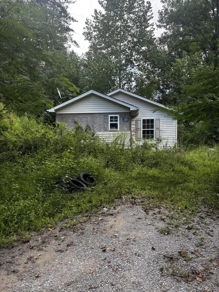 389 Newman Branch Hi Hat KY 41636