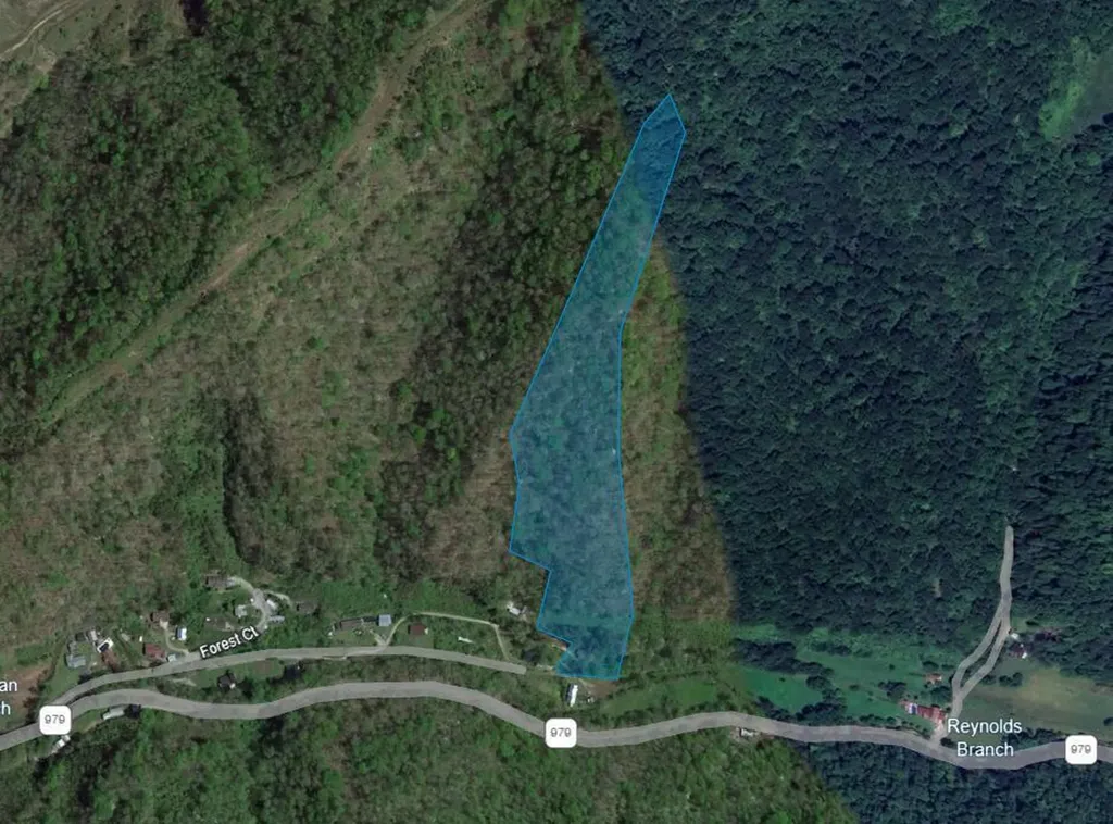 389 Newman Branch Hi Hat KY 41636