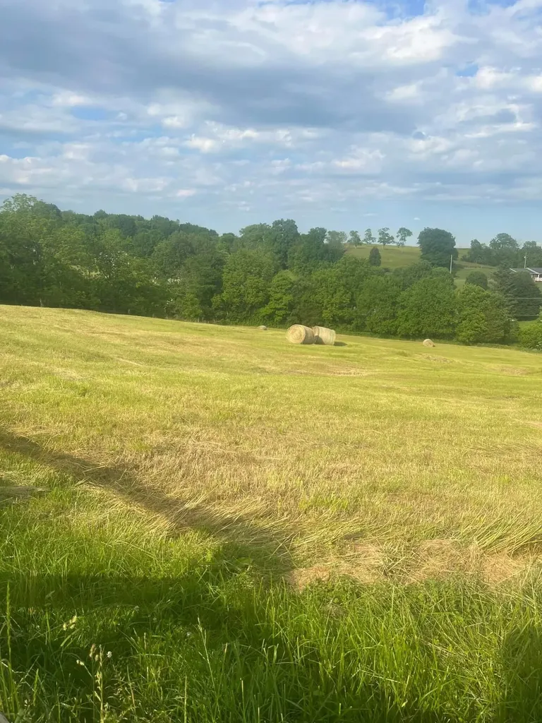 8377 Stonelick Road Maysville KY 41056