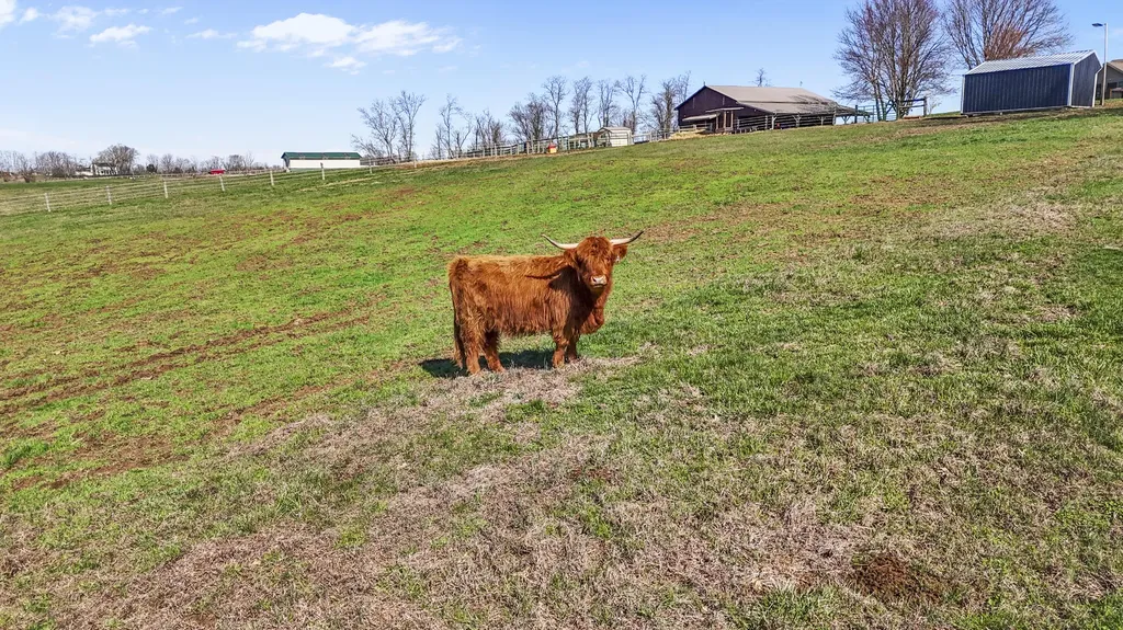 8353 Wades Mill Road Mt Sterling KY 40353