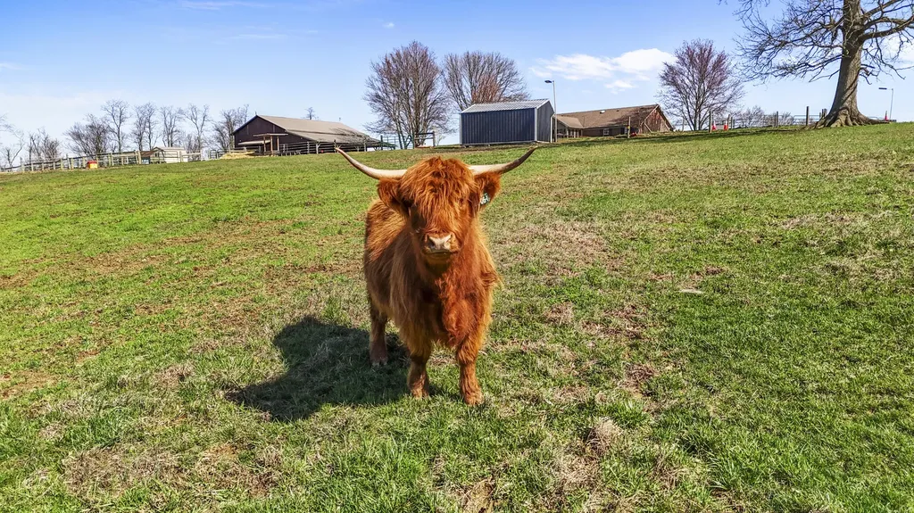 8353 Wades Mill Road Mt Sterling KY 40353