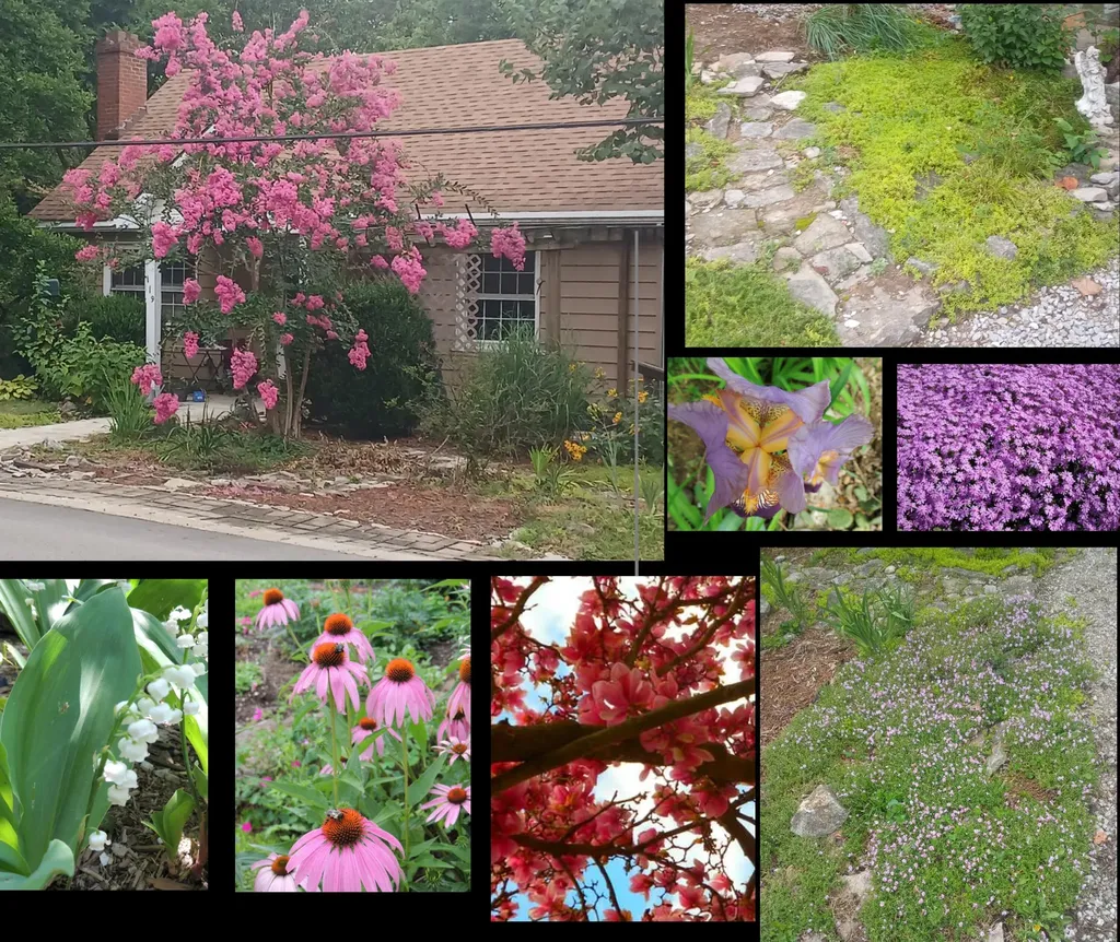 119 Elkhorn Drive Frankfort KY 40601
