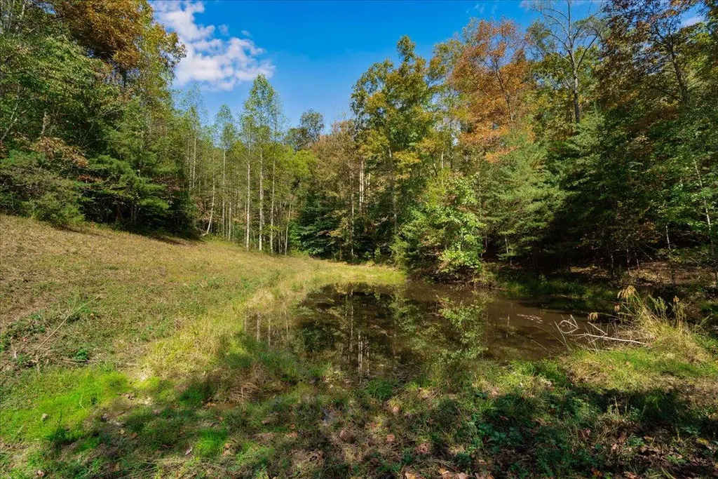 9999 Ky-15 Campton KY 41301