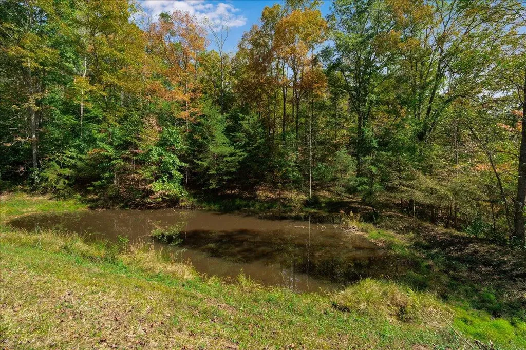 9999 Ky-15 Campton KY 41301