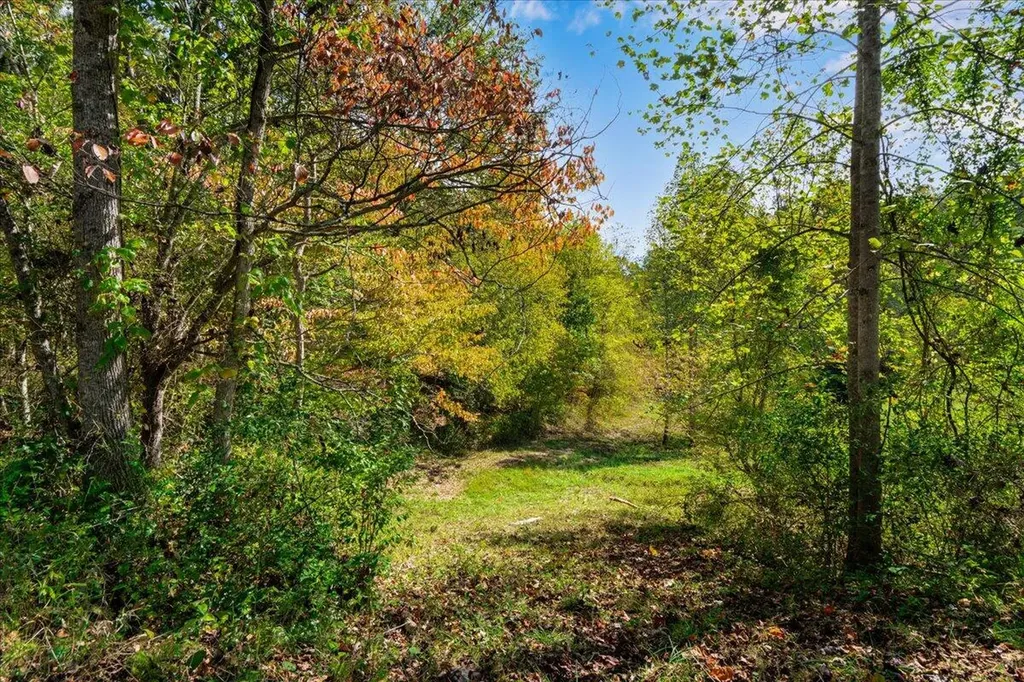 9999 Ky-15 Campton KY 41301