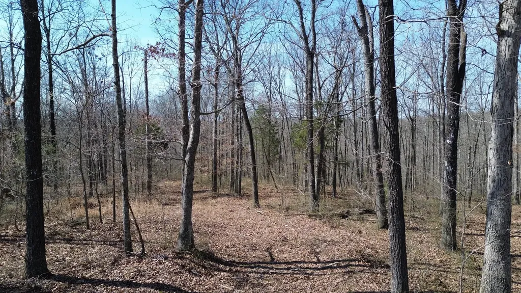 20A Riverside Benleo Road Bowling Green KY 42101