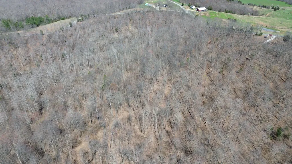 20A Riverside Benleo Road Bowling Green KY 42101