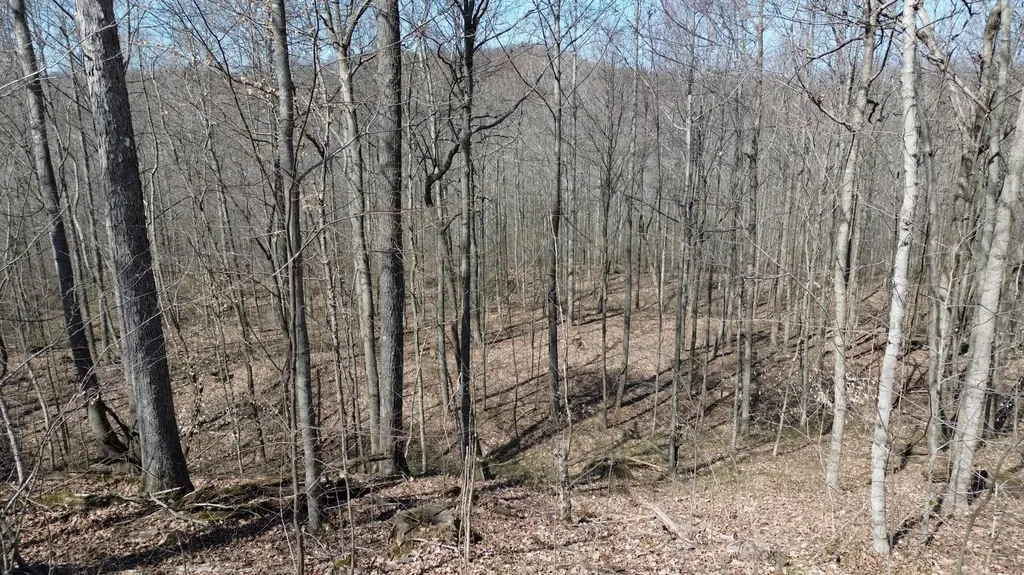 20A Riverside Benleo Road Bowling Green KY 42101